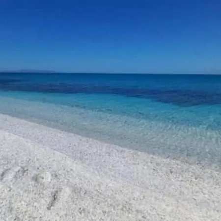 Sardinian Enjoy Stintino With Your Pets !