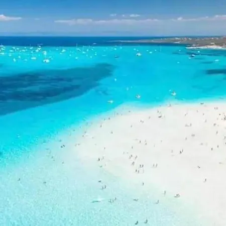Villa Sardinian Enjoy Stintino With Your Pets ! Sassari